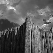 Untitled 6 by Erin Bechtold