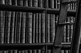 Long Haul by Delbert LaRue