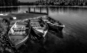 The Rowboats by David Patterson