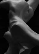 Form in Exhibitionism by William R. West, Jr.