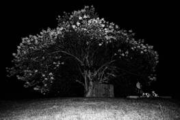 Lost Freedom Diptych 1-B by Isabelle Thibault