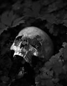 Seeds We've Sown by Jesse Farrah