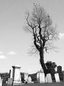 Cemetary by Jack Feder