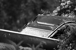 Cars 001 by Richard Reading