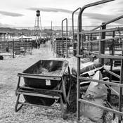 Water Tower by James Esten