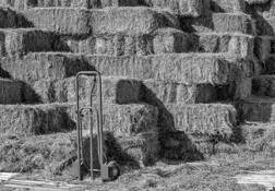 Hand Truck by James Esten