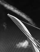 CopycatCloud by Jeanne Garrett