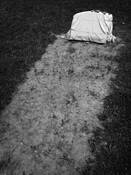 Barrie at Wildwood by Richard Karp