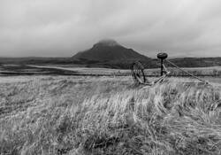 Untitled 4 by Shirley