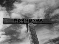 Bryn Mawr by James Manfredonia