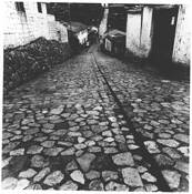 Street by Taiwik David Chui