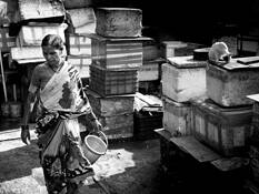 Land and Cat by Gregory Scholes