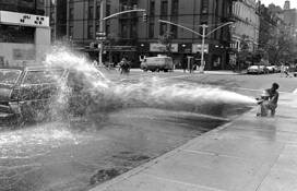 Heat Wave by Wayne Palmer