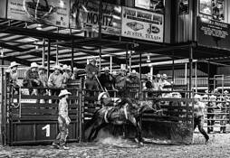 High School Rodeo by Kay Hale