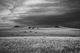 Stillness Through the Storm by Susan Tatterson