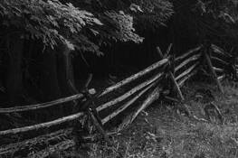 Split Rail Fence by Abigail Gossage