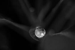 The Drop by Art Braitman