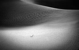 Quiet by Diane Michaud Lowry