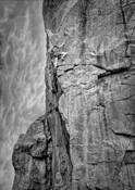 Man Embraces Nature by Mark Greenland