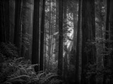 Breakthrough by Gary Wagner