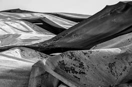 Dunes of Metal by Jenny Arevalo