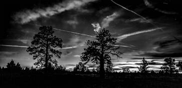 Starry Bend Oregon by William Dusterwald