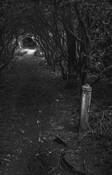 The Way Home by Philip Gornicki