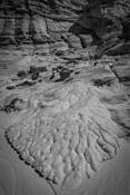 Etched by Ilene Bandringa