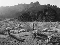 Kofa Wilderness by Lane Taylor