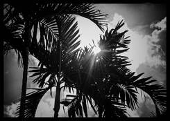 Florida Sunset by Stuart Lieberman