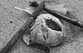 Found by Wendy Milazzo