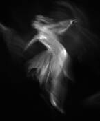 Dance 18 by William Jackson