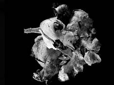 What Remains by Susan Tatterson