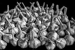 Cured Garlic by Robert J. Anderson