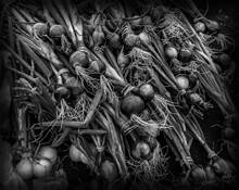 Farmer's Market Radishes by Rick Menapace