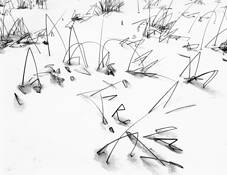 Winter Reeds by Joe Washington