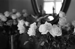 Roses by Sandy Lloyd