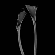 Untitled #3 by Peter Madero III