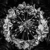 Gold Madallion Flower by Jerry Kay