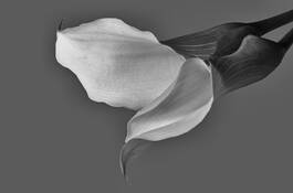 In Repose by Barbara Maker