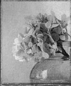 Endless Summer by Ellen G. Ingram