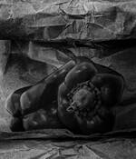 Lone by Seta Karabadjian