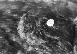 Aspen Voyage by Jim Tucker