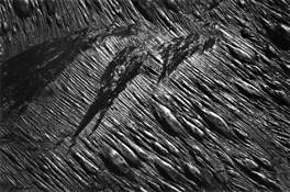 Undiscovered Planet by Jim Tucker