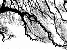 Winter Time by Carlos Caruso