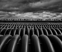 Boardwalk Walkers by William West