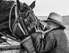 Buggy Ride Driver by William West