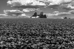 Ninanic Farm by Dave Sova