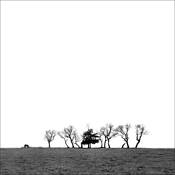 County Road 27 by Norm Snyder