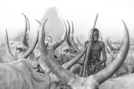 Mundari Cattle Herder by Joe Buergi